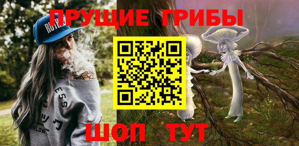 Псилоцибиновые грибы GOLDEN TEACHER Вышний Волочёк